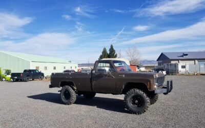 Chevrolet Other Pickups 1978