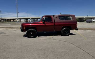 Chevrolet Other Pickups 1980