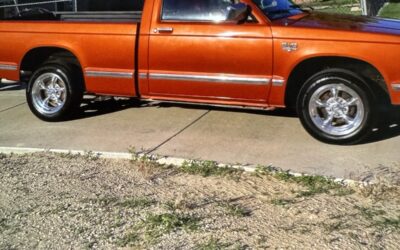 Chevrolet Other Pickups 1982