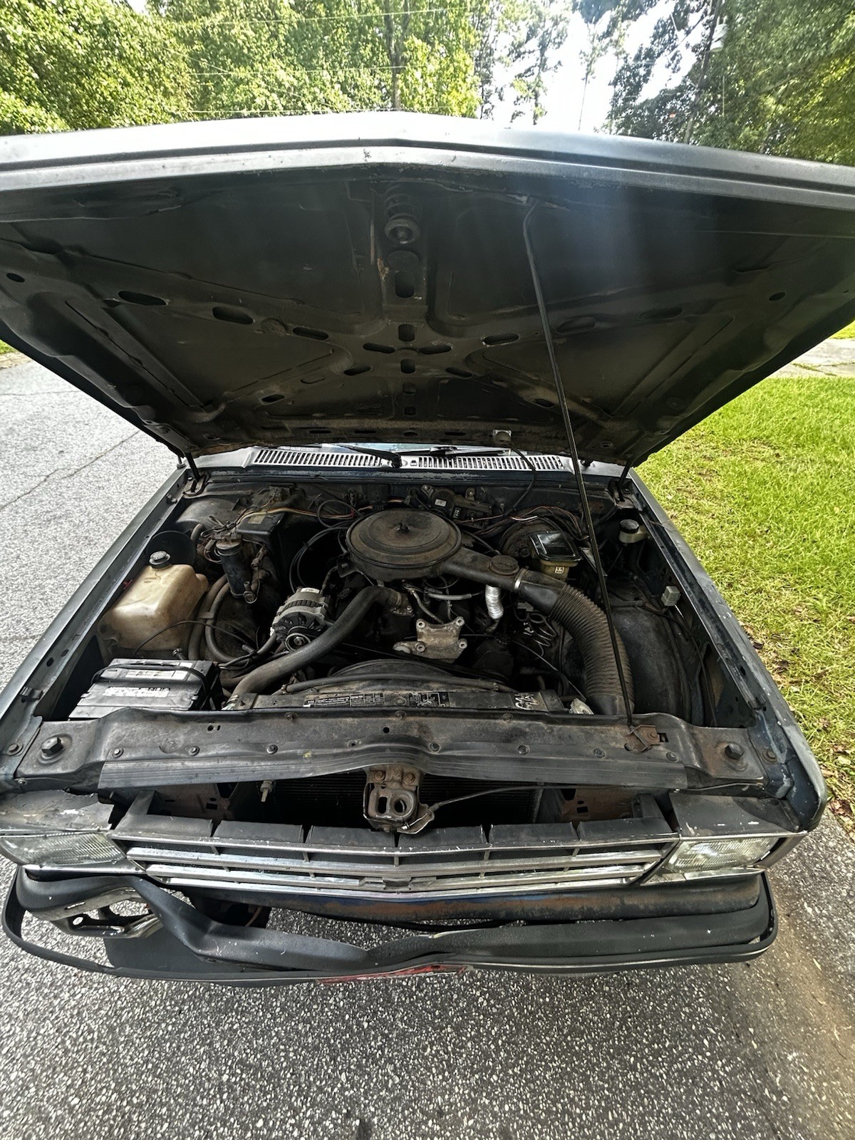 Chevrolet-Other-Pickups-1989-Standard-Cab-Pickup-Gray