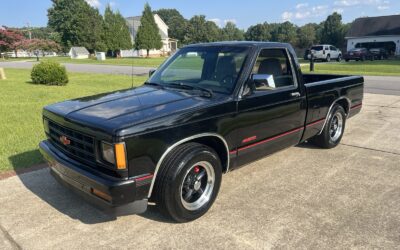 Chevrolet Other Pickups 1993
