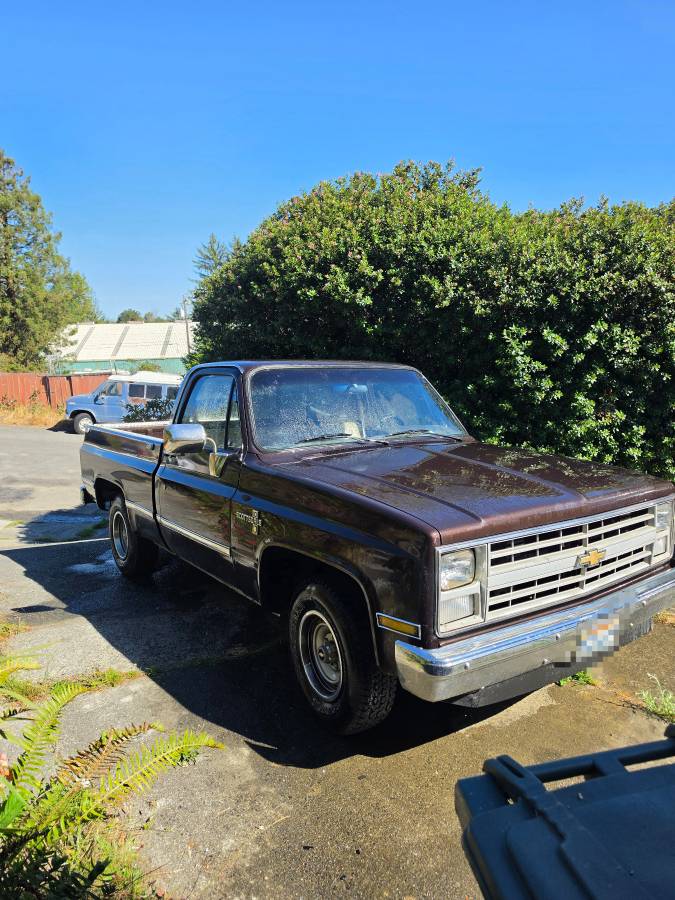 Chevrolet-R10-1987-Brown