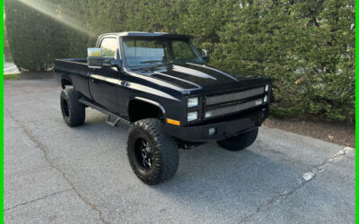 Chevrolet R/V 20 Series 1987