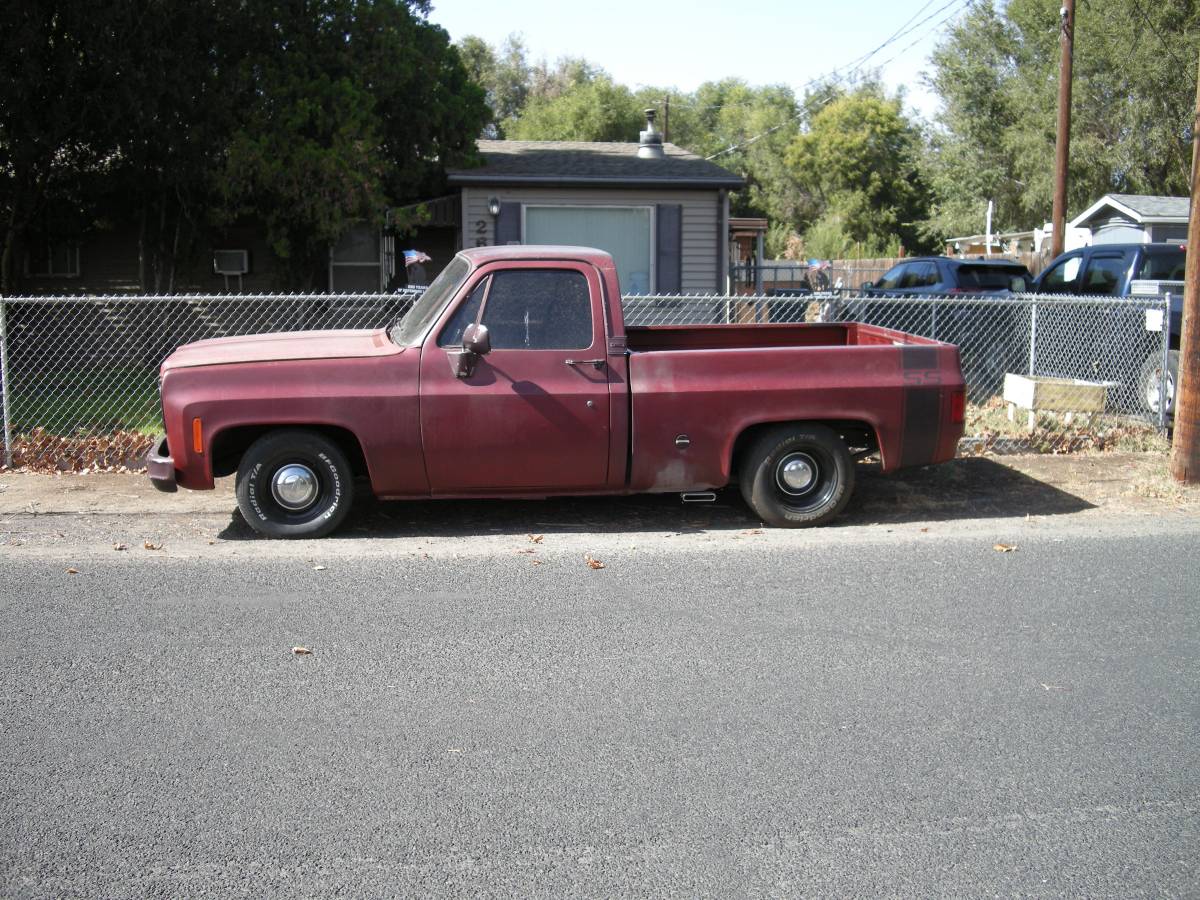 Chevrolet-Silverado-1976