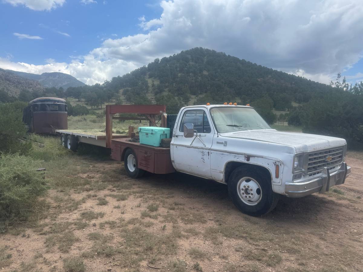 Chevrolet-Silverado-1977-White