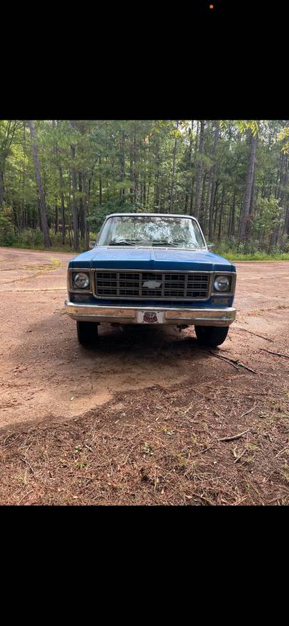 Chevrolet-Silverado-1978-Blue