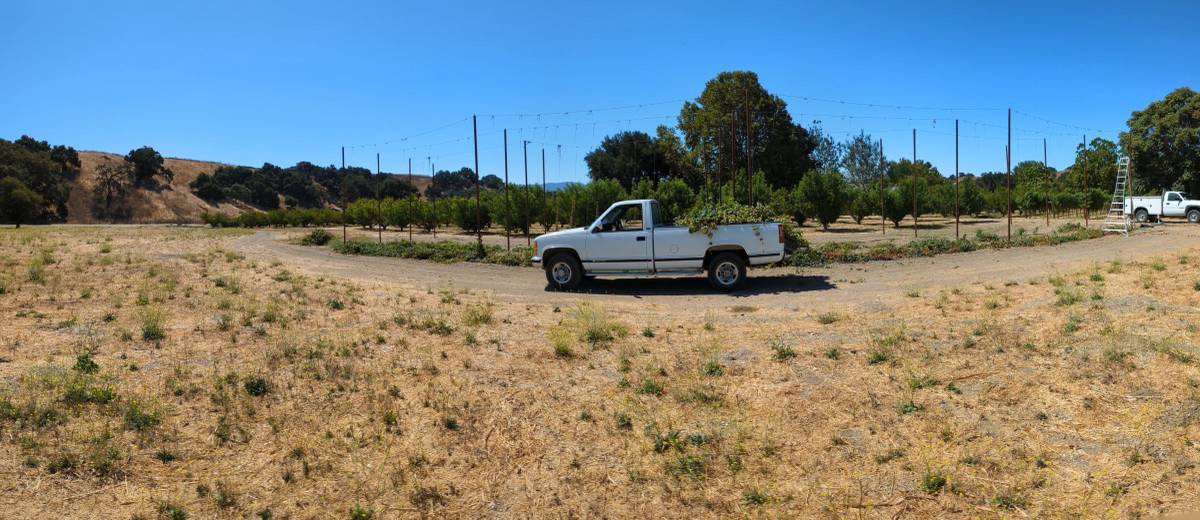 Chevrolet-Silverado-1992-White