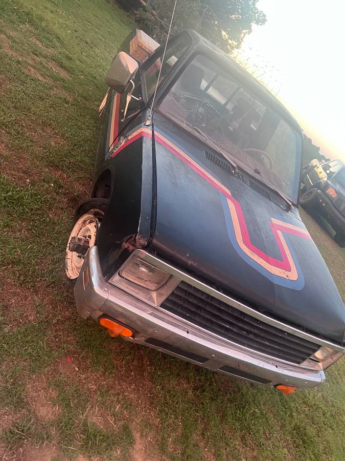 Chevrolet-Truck-1981-Black