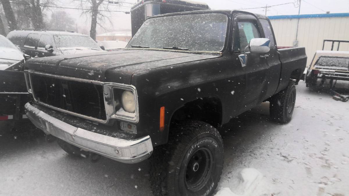 Chevrolet-Truck-4x4-1977-Black