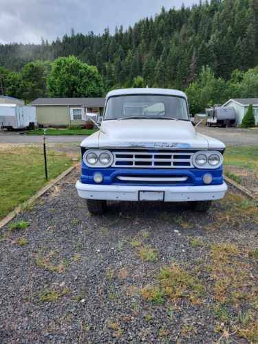 Dodge-34-ton-1959-Blue
