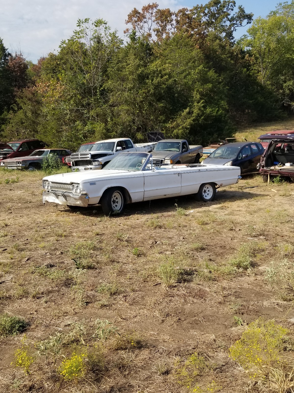 Dodge-880-1965-Convertible