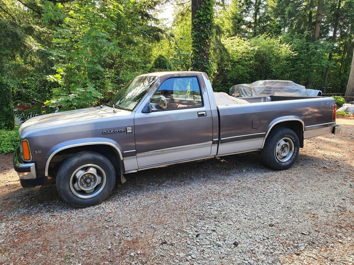 Dodge-Dakota-1989-Silver