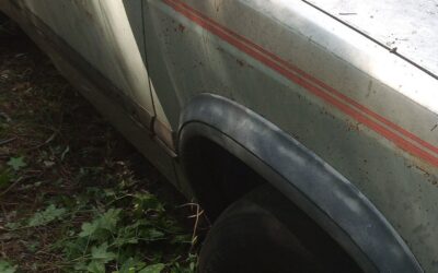 Dodge Dakota 1993