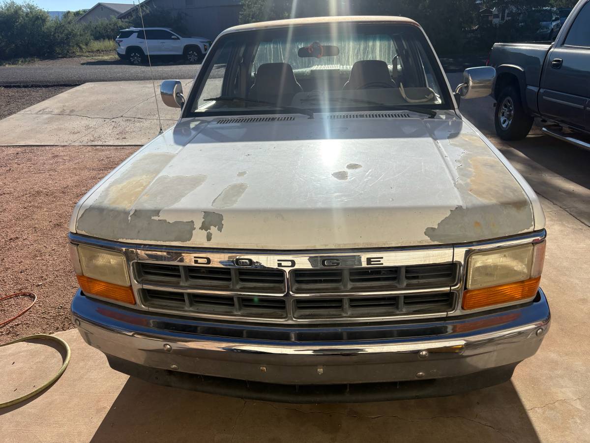 Dodge-Dakota-1996-White