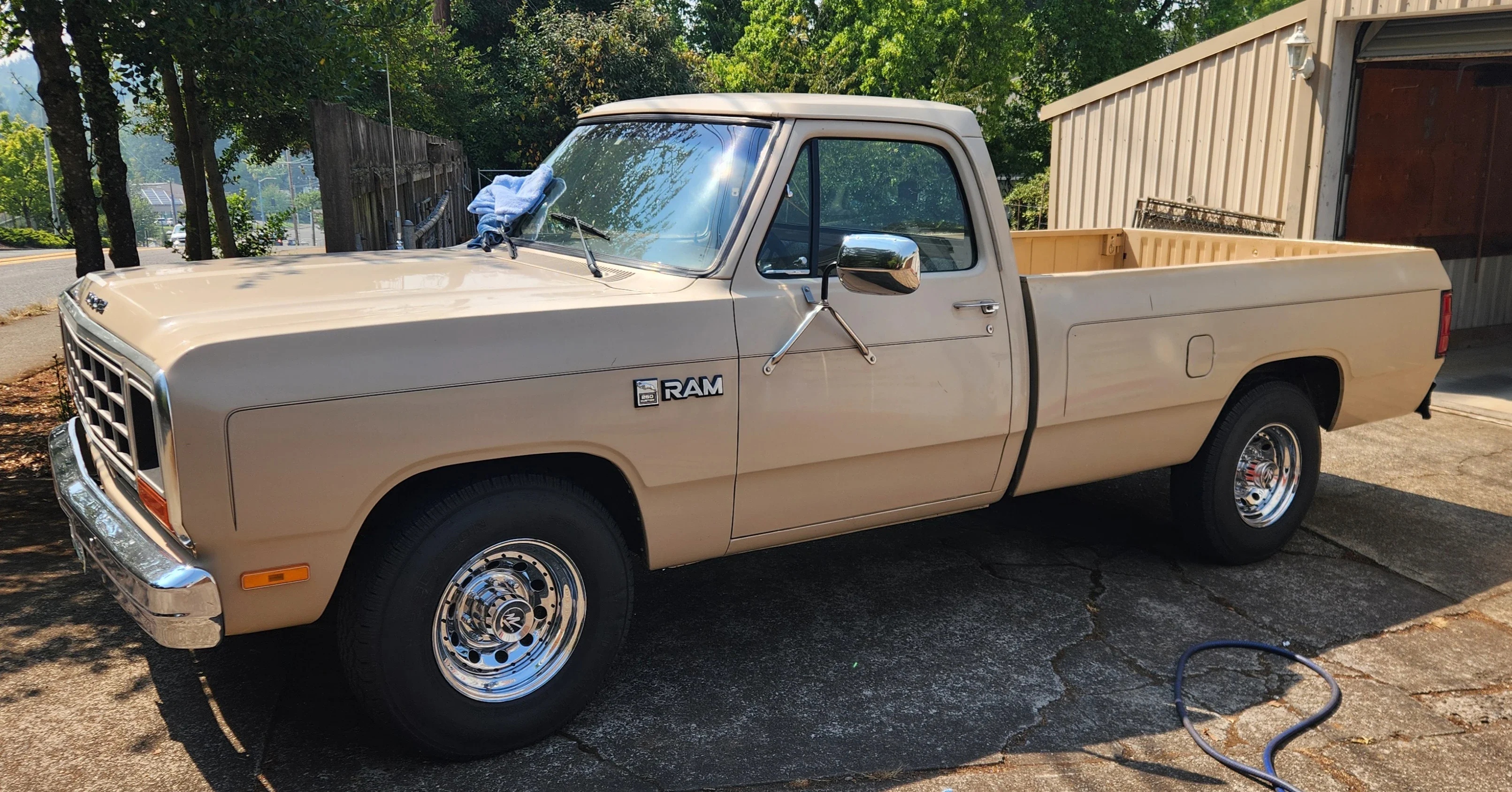 Dodge-Dw-truck-2wd-regular-cab-d-250-1984-Tan-Brown