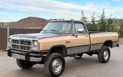 Dodge Other Pickups 1991