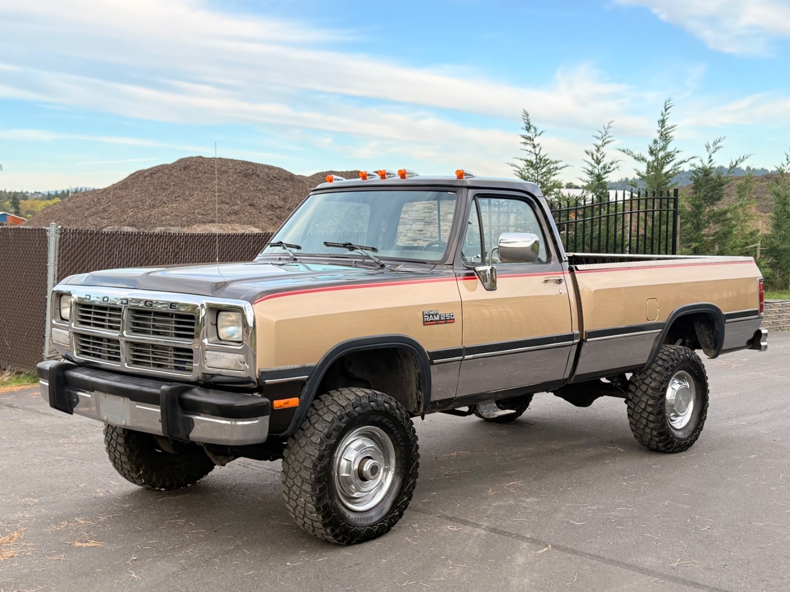 Dodge-Other-Pickups-1991-Standard-Cab-Pickup