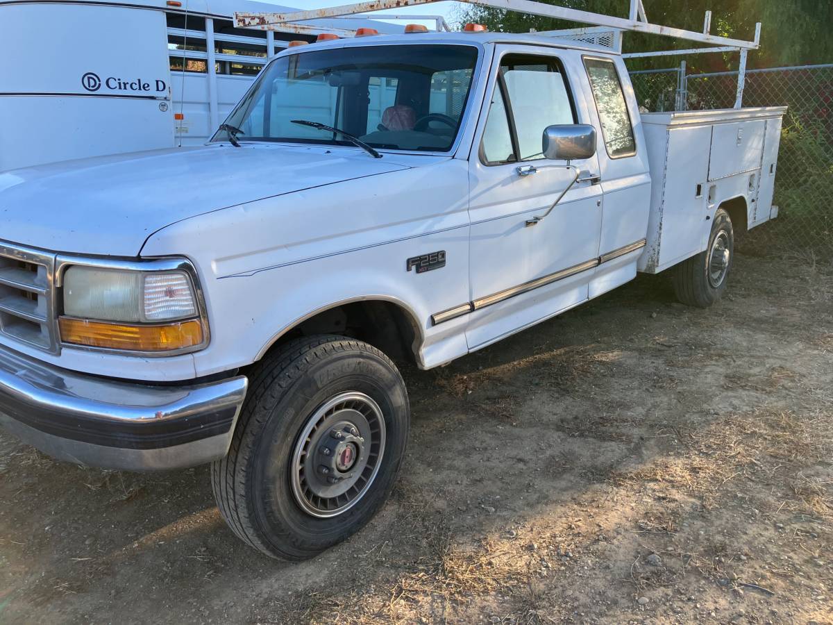Ford-1993