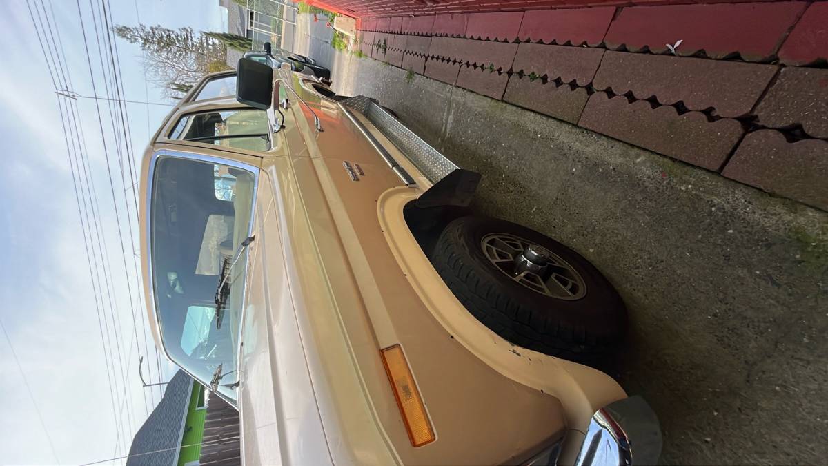 Ford-Broncer-1984-Brown