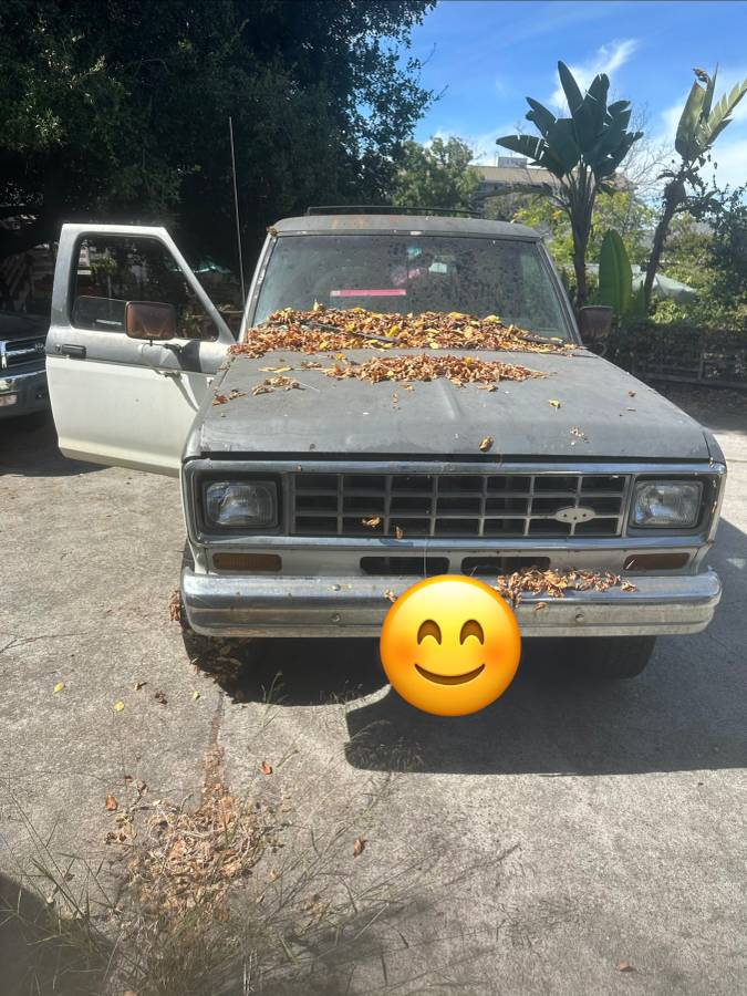Ford-Bronco-1986-Gray