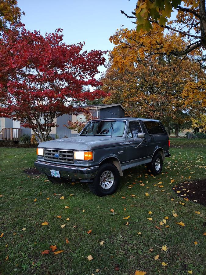 Ford-Bronco-1989-Gray