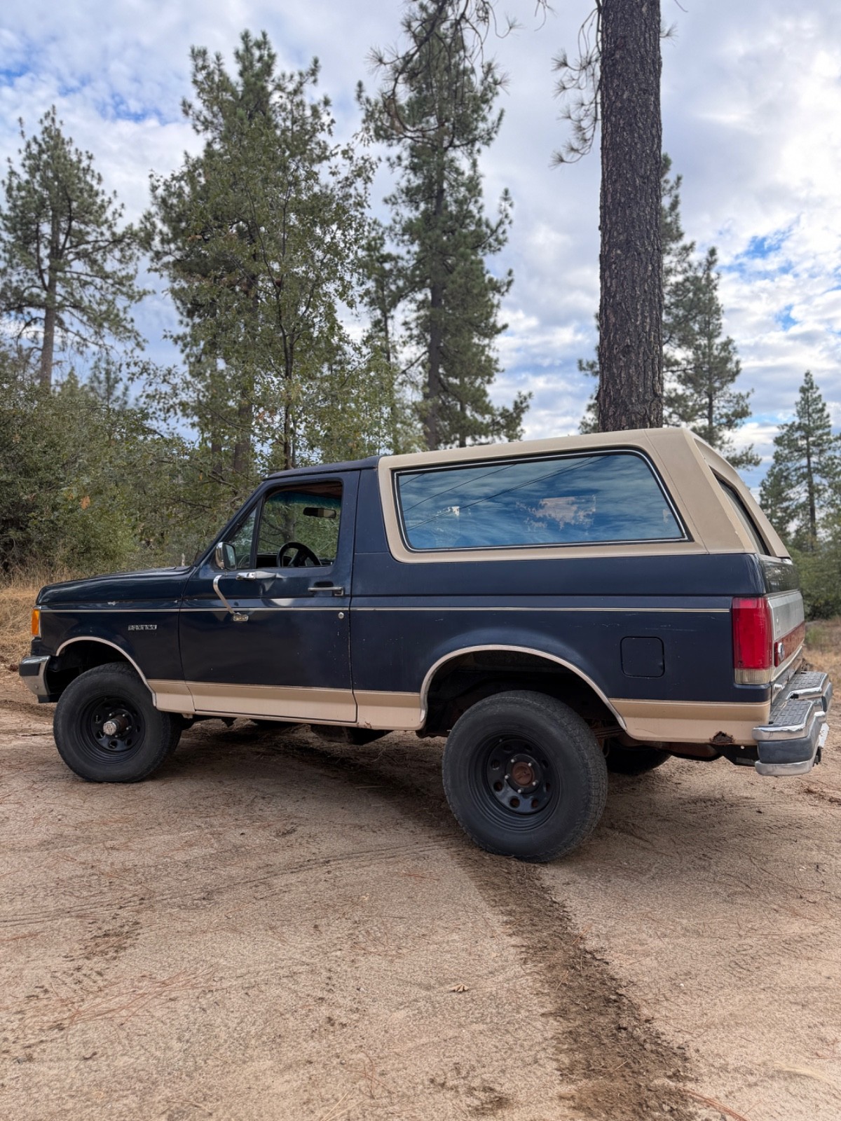 Ford Bronco 1990