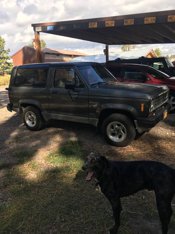 Ford-Bronco-ii-1985-Gray