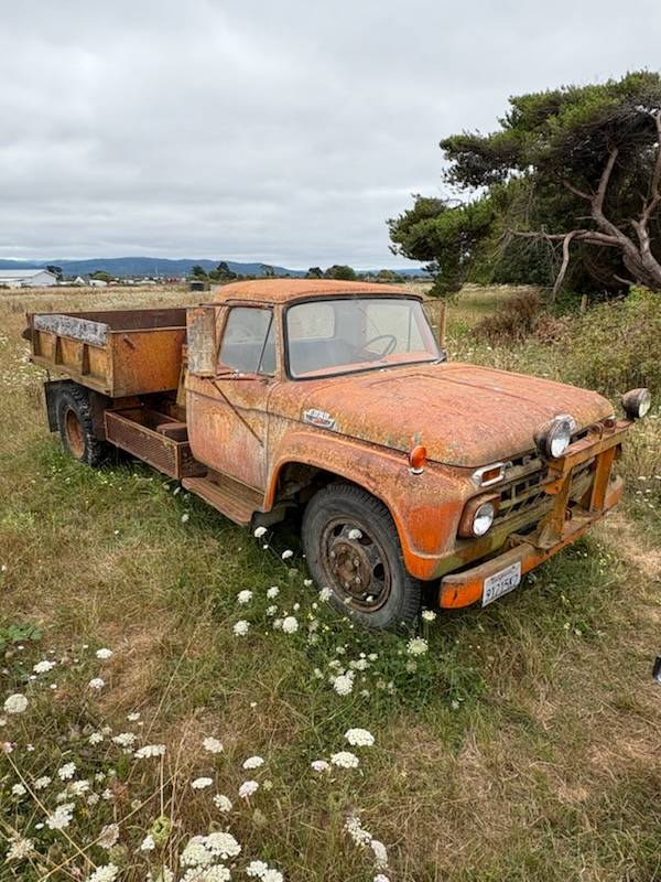 Ford-Commercial-dump-truck-1965