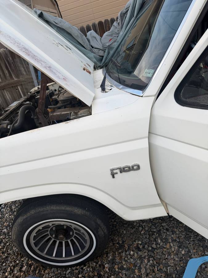 Ford-F-100-1983-White