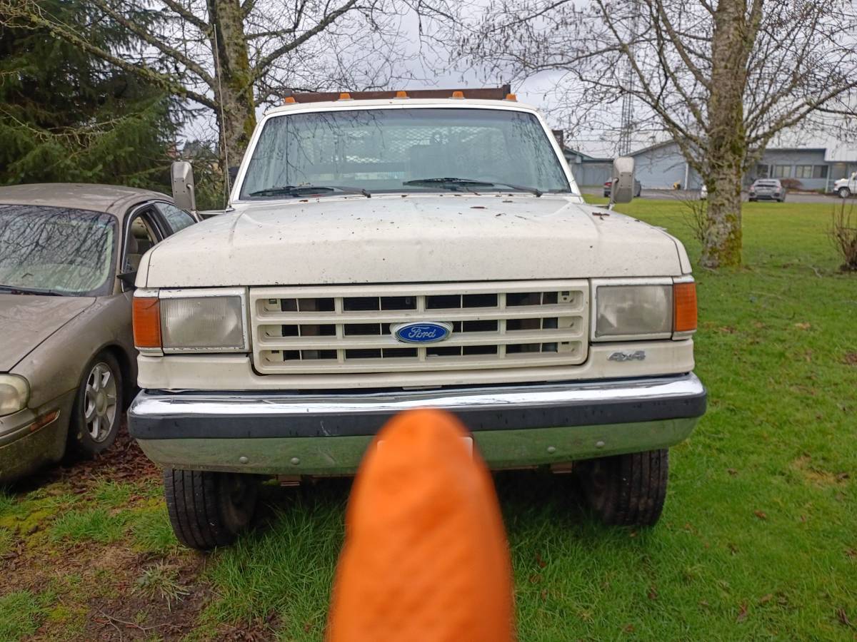 Ford-F-350-1991-White