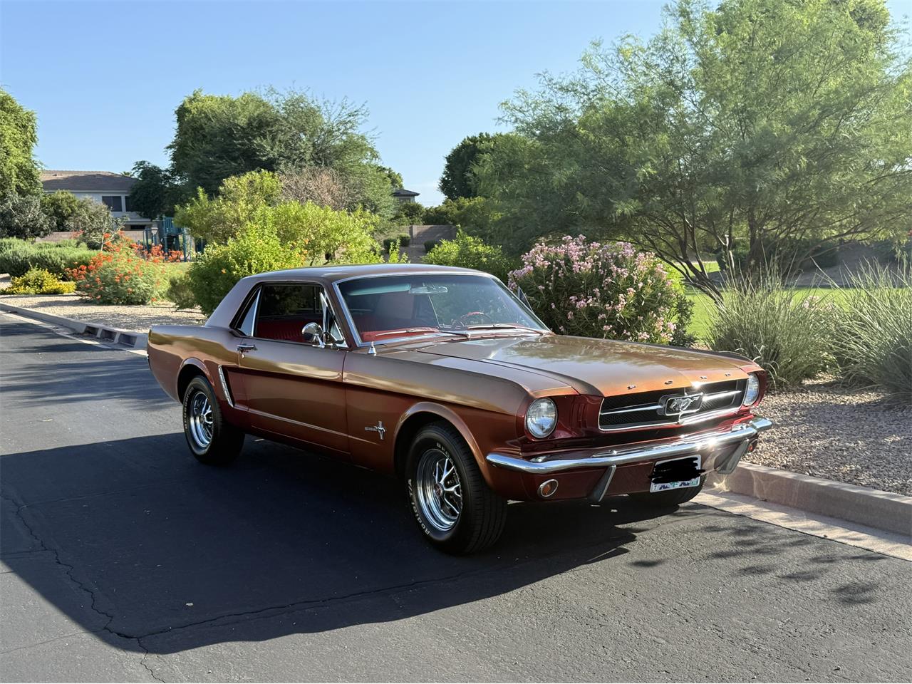 Ford-Mustang-1965-Golden-Red-Red