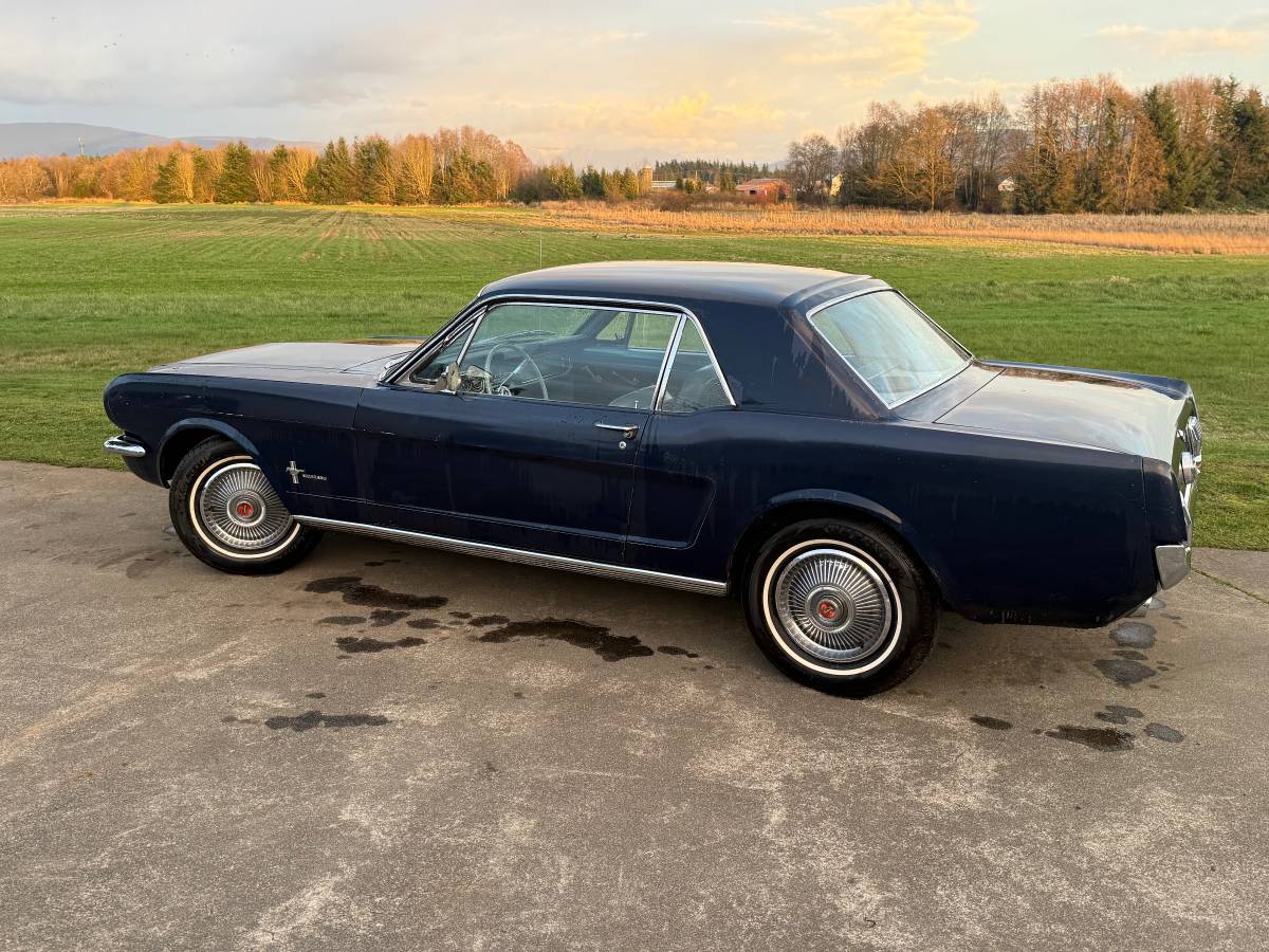 Ford-Mustang-1966-Blue