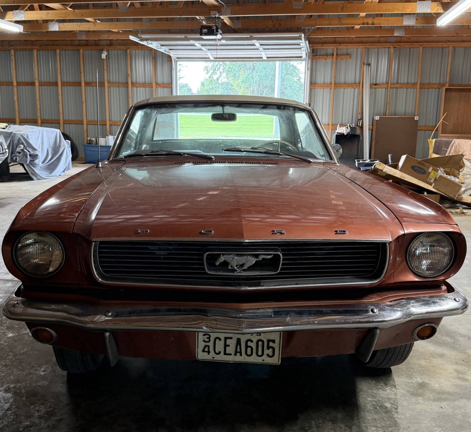 Ford Mustang 1966