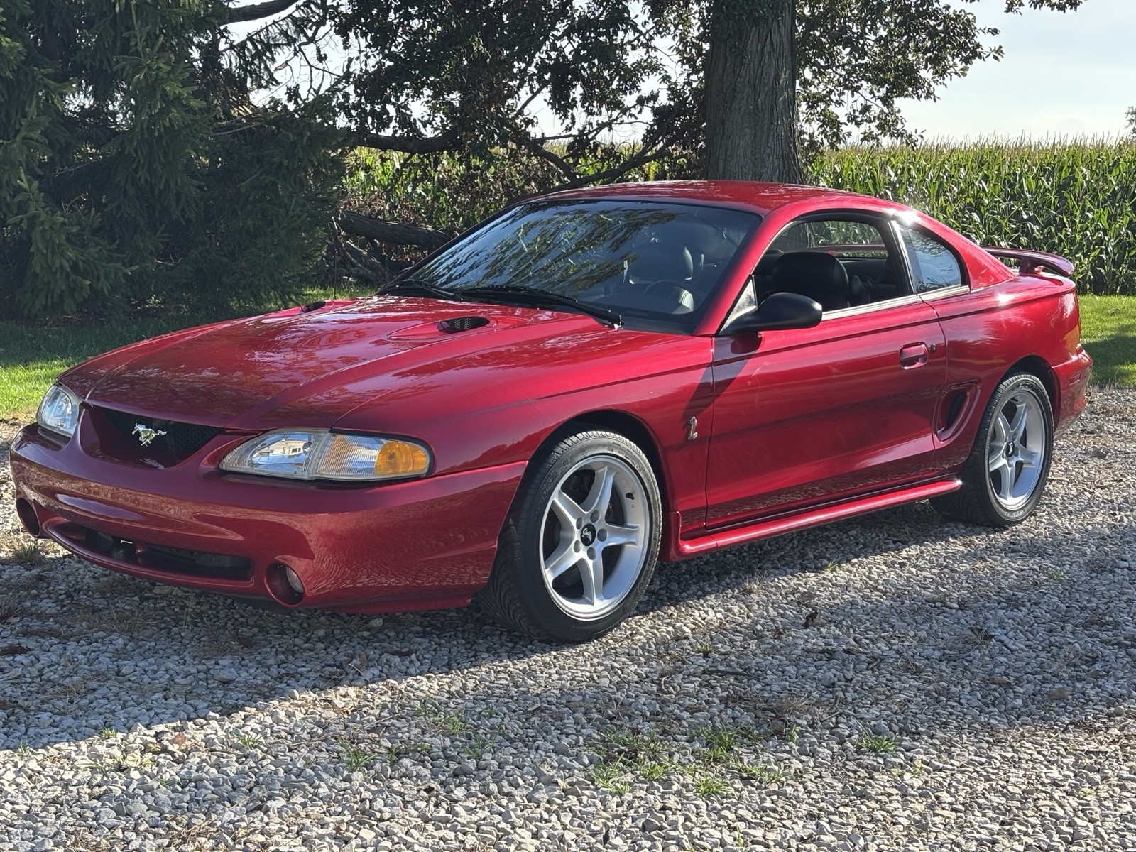 Ford Mustang 1996