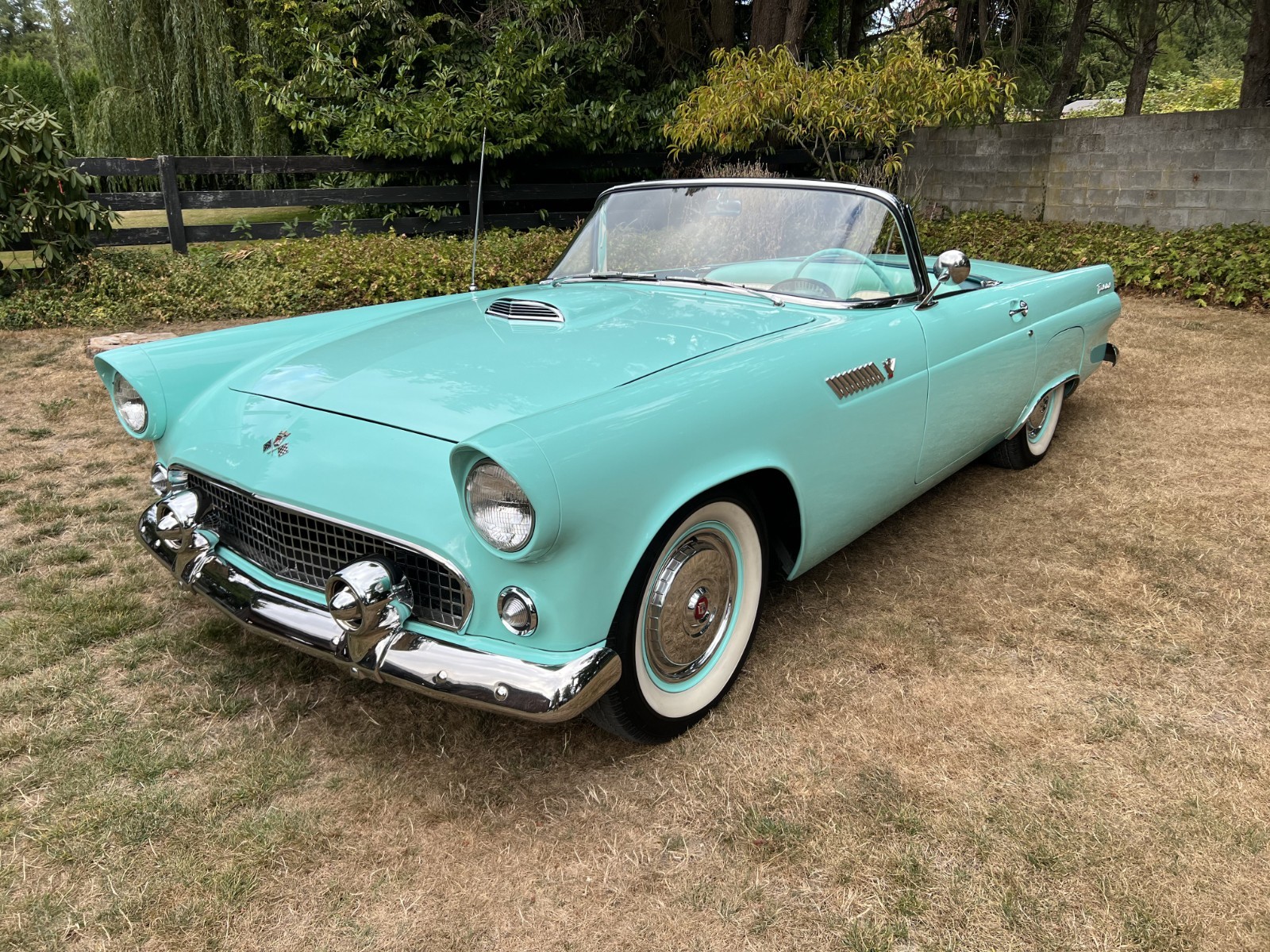Ford-Thunderbird-1955-Convertible