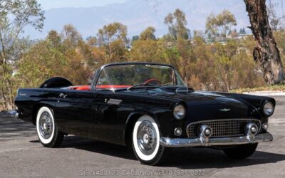 Ford Thunderbird 1956