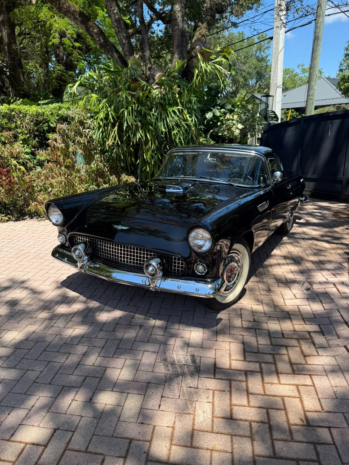 Ford Thunderbird 1956