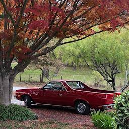 Gmc-Caballero-12-ton-nominal-1987-Red