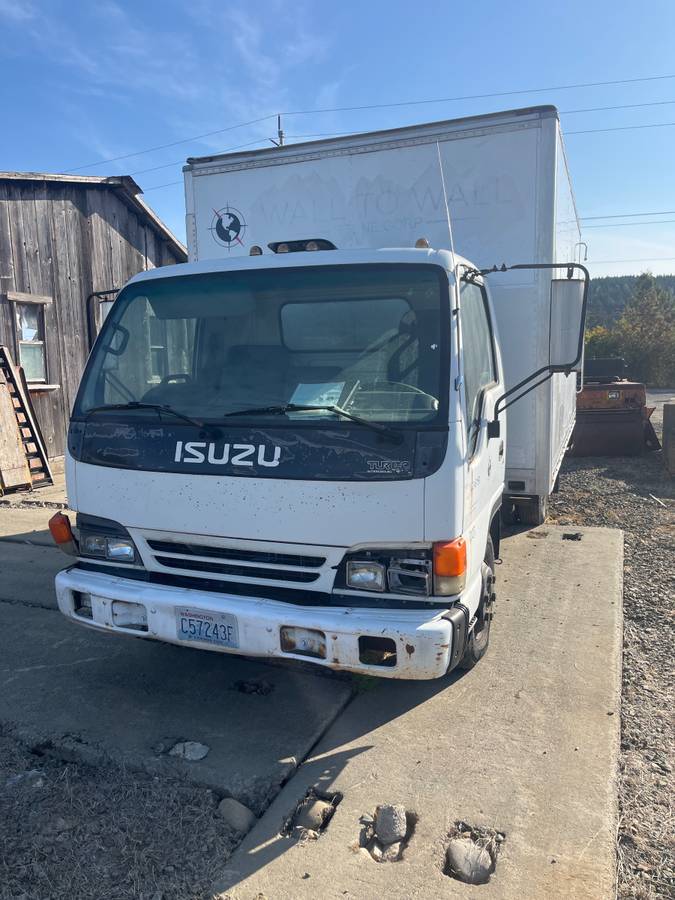 Isuzu-1995-White