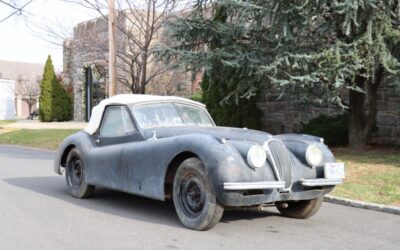 Jaguar XK 1954