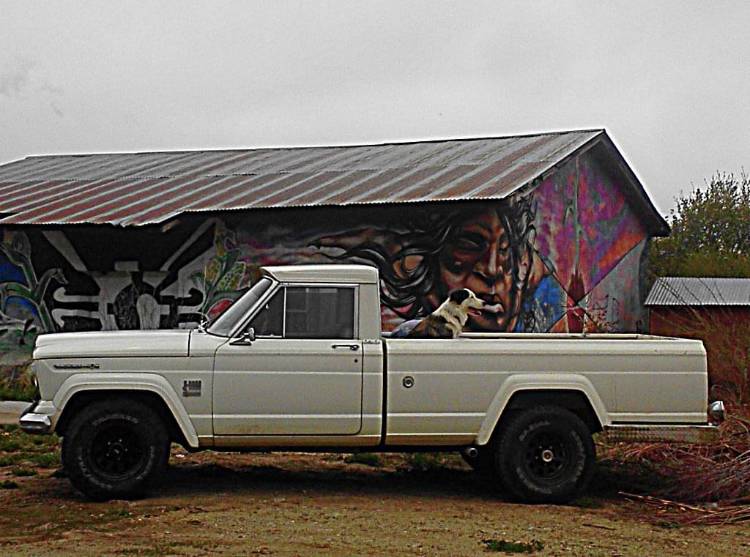 Jeep-Gladiator-1966-White