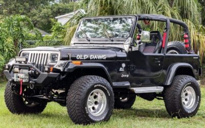 Jeep Wrangler 1993