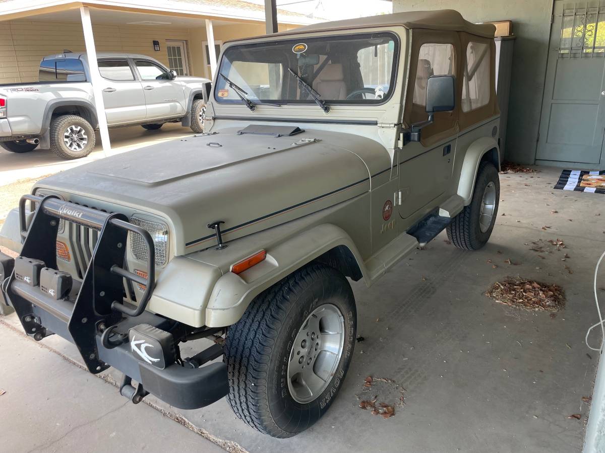Jeep-Wrangler-unlimited-sahara-1992-Brown