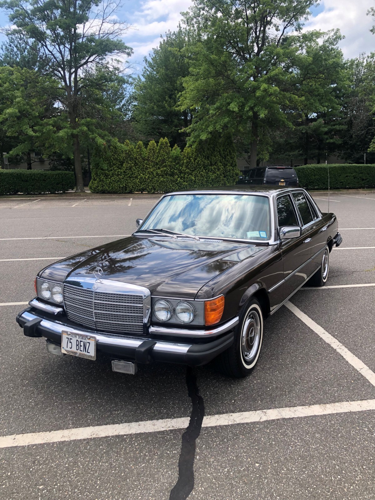 Mercedes-Benz-450SE-1975-Sedan-Tan