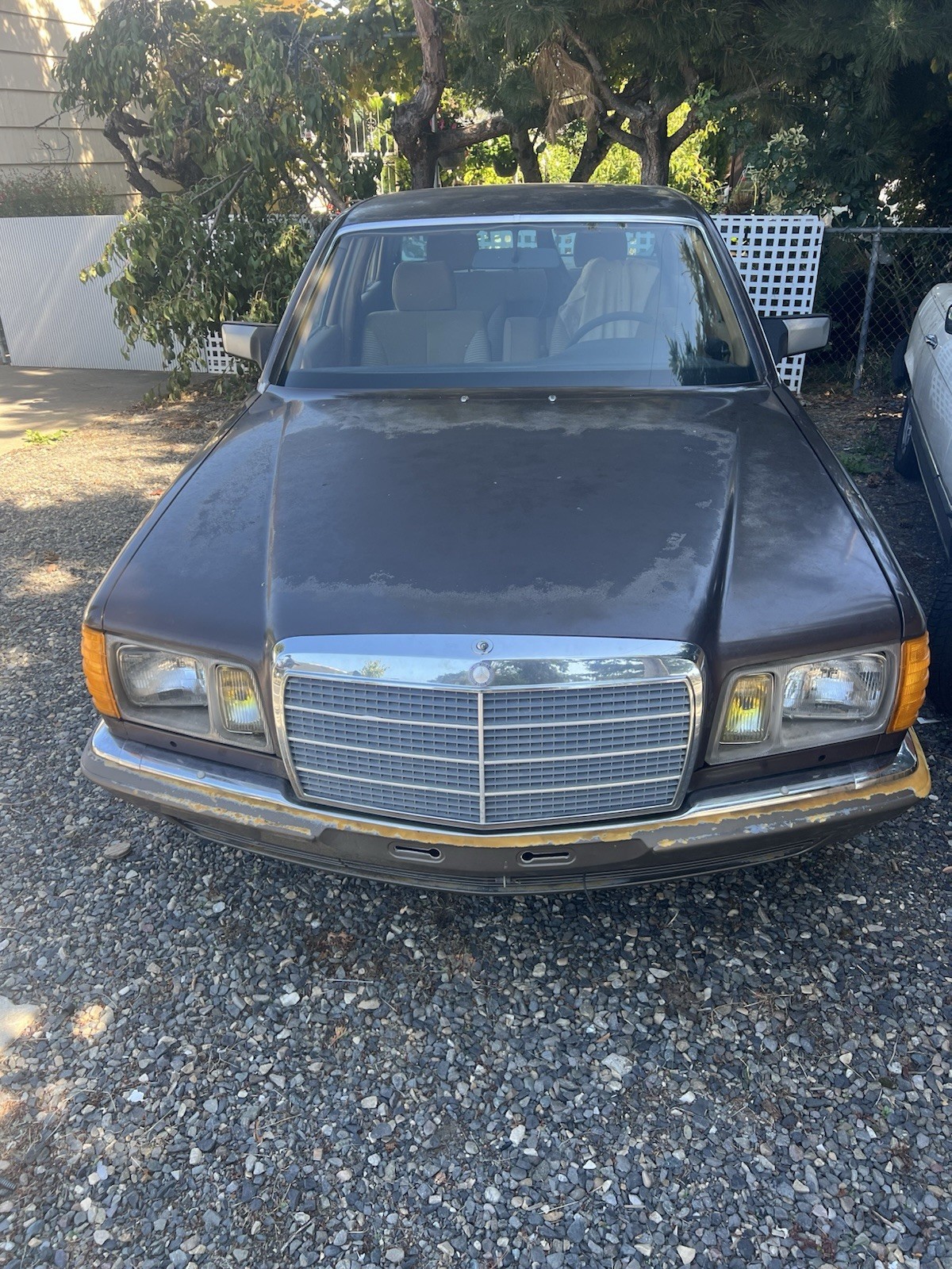 Mercedes-Benz-Other-1983