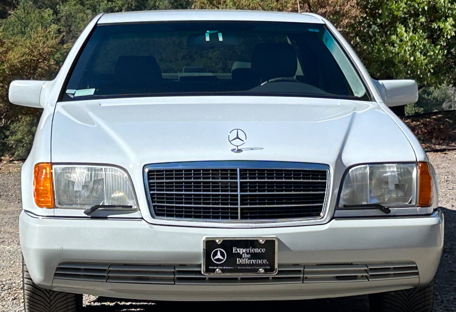 Mercedes-Benz-S-Class-1992-Sedan-Gray