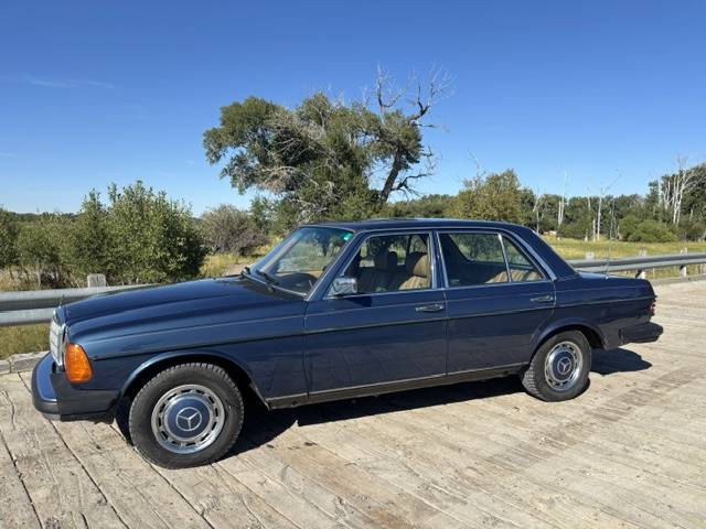 Mercedes-benz-240d-1983-Blue