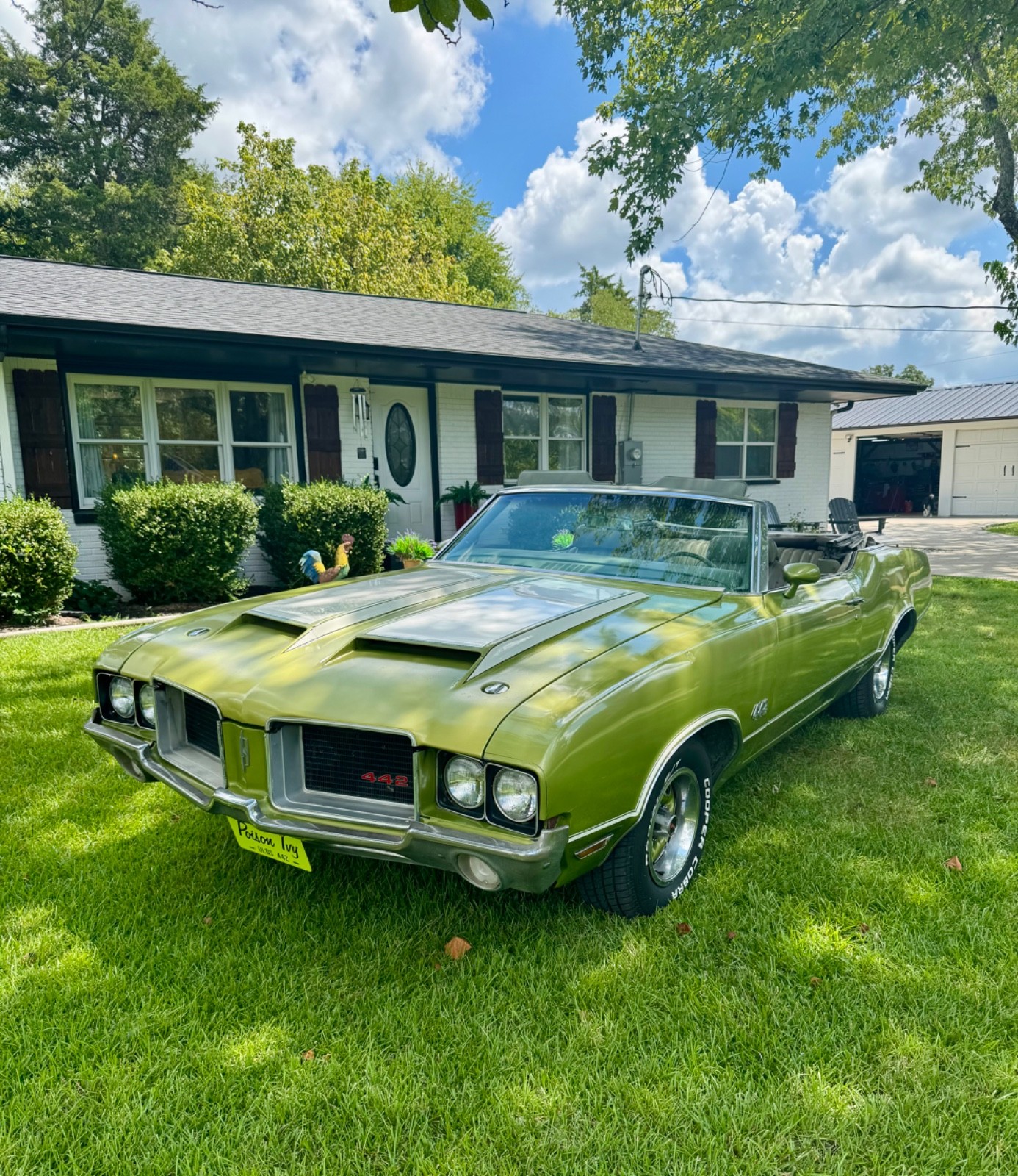 Oldsmobile 442 1971