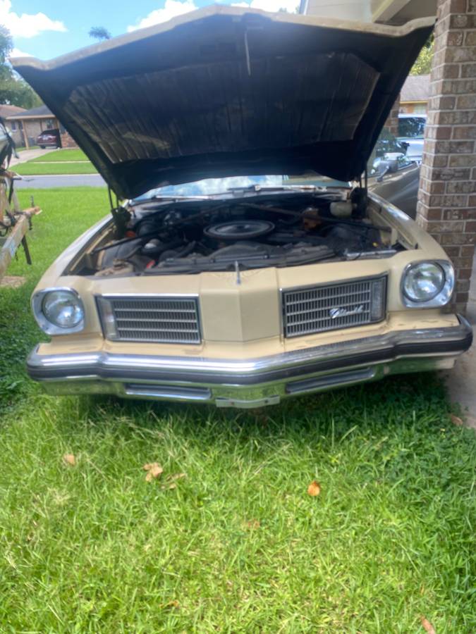 Oldsmobile-Cutlass-1975