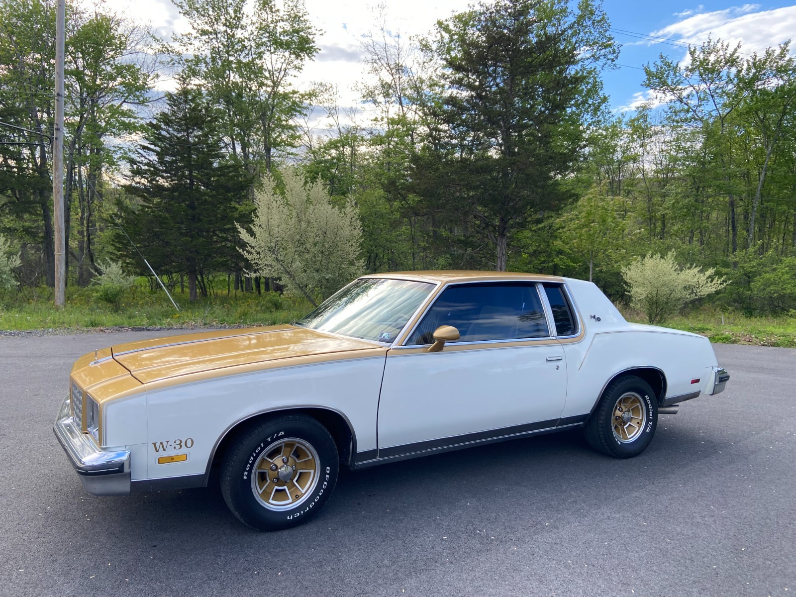 Oldsmobile-Cutlass-1979-Coupe